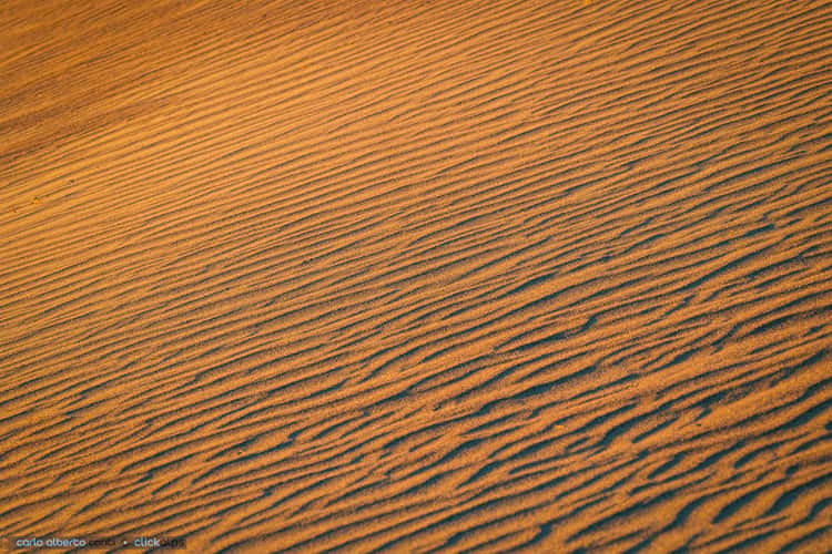 Mesquite Flat Sand Dunes, Death Valley