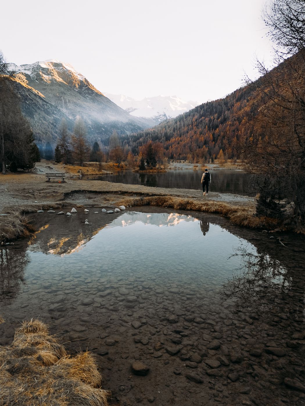 Morteratsch View front (Drone), Switzerland