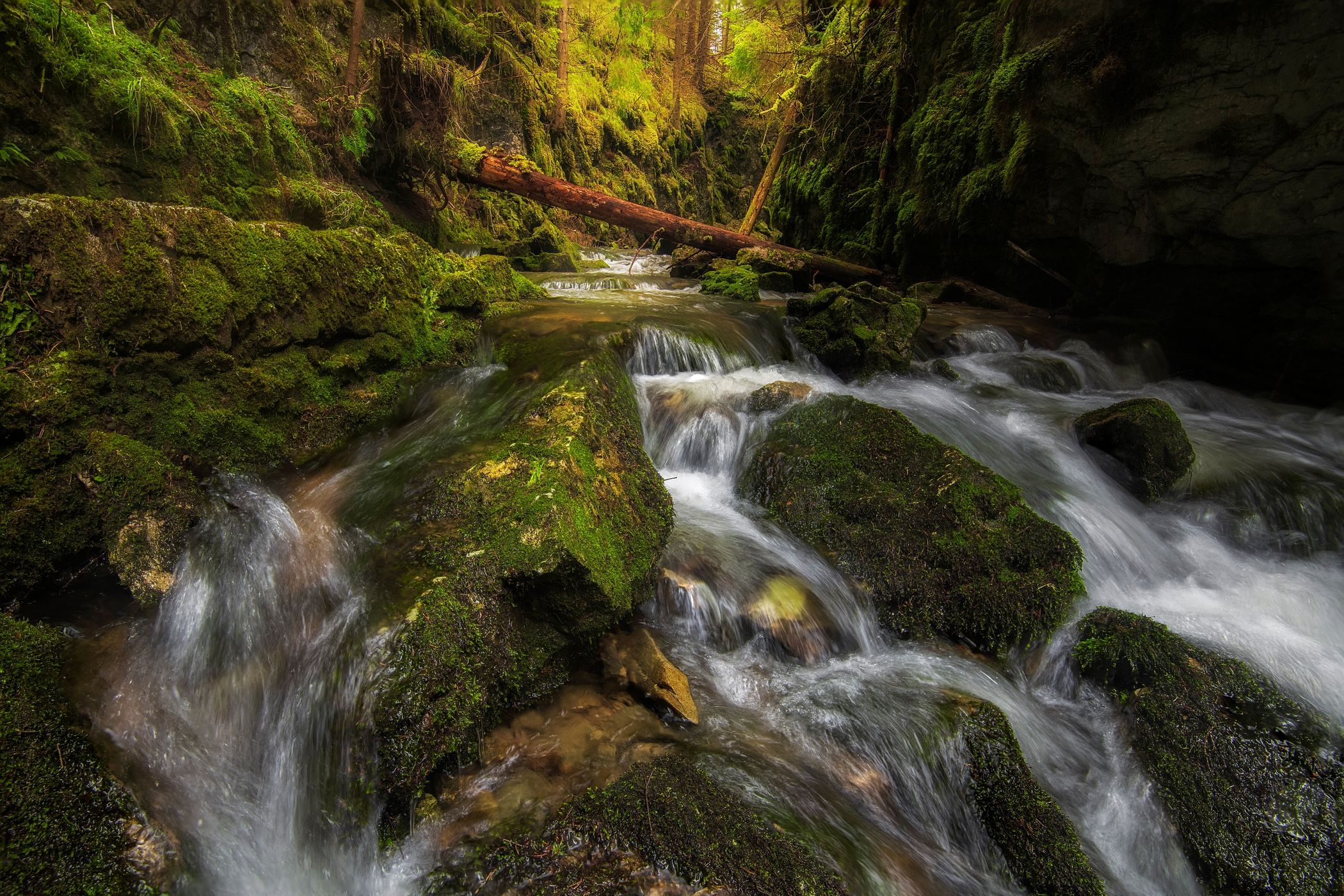 Mossy creek, Slovakia (Slovak Republic)
