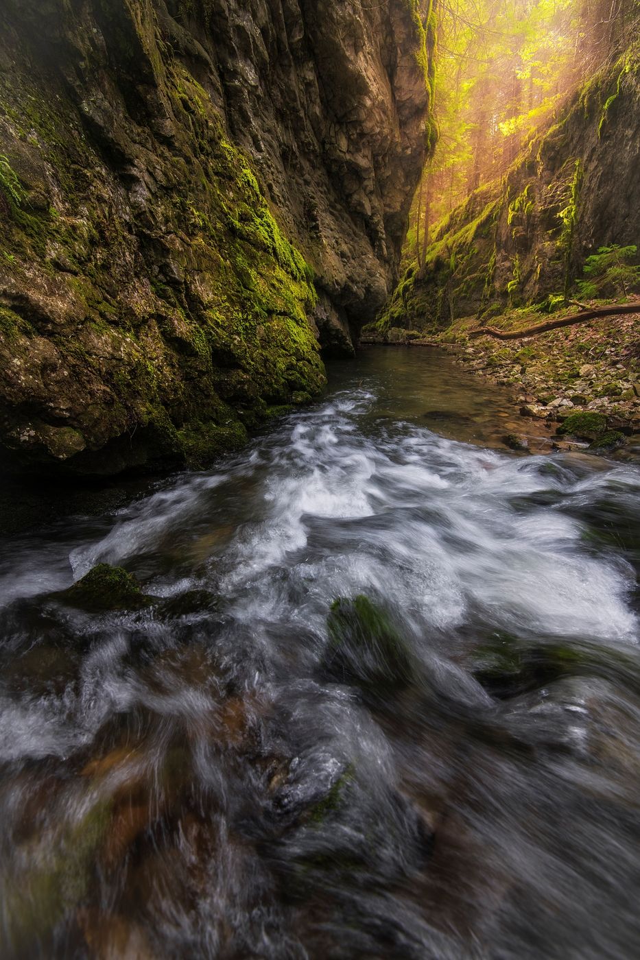 Mossy creek, Slovakia (Slovak Republic)