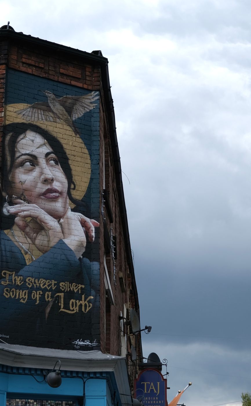 Mural at 13 Lark Lane, Liverpool, United Kingdom