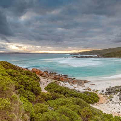 Native Dog Beach, Australia