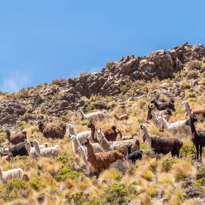 Northeast of Puchuldiza, Chile