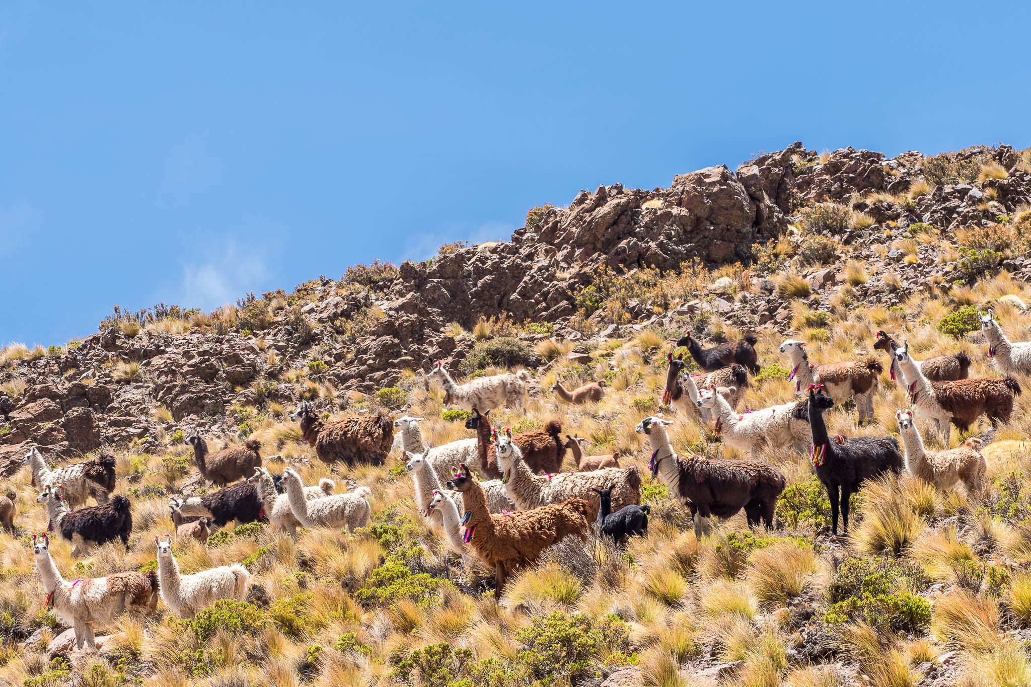 Northeast of Puchuldiza, Chile