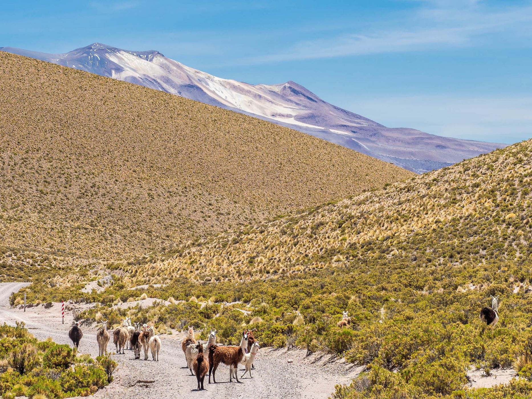 Northeast of Puchuldiza, Chile