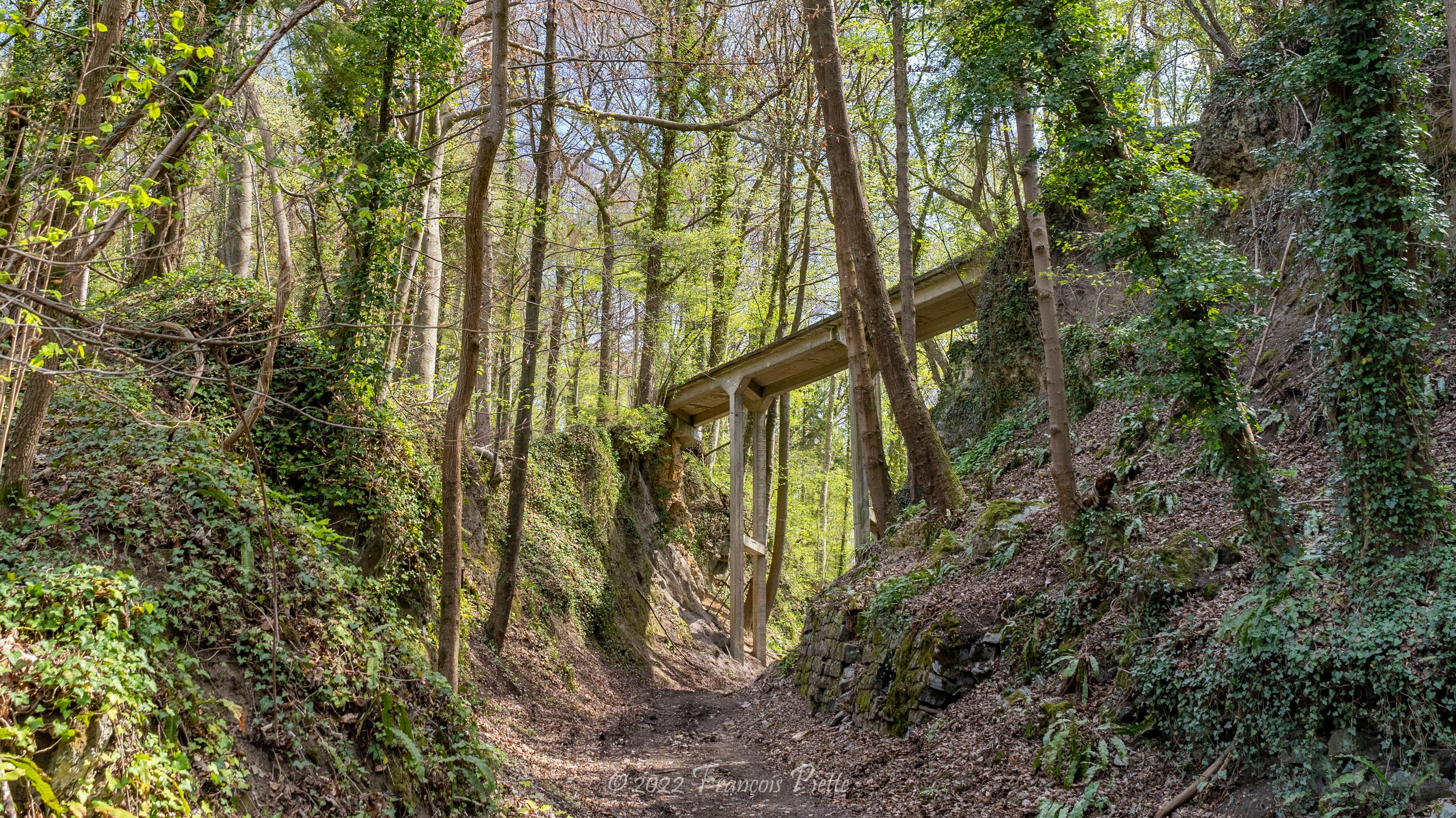 Old bridge near Aywaille, Belgium