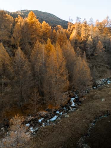 Ova d'Avra (Drone)