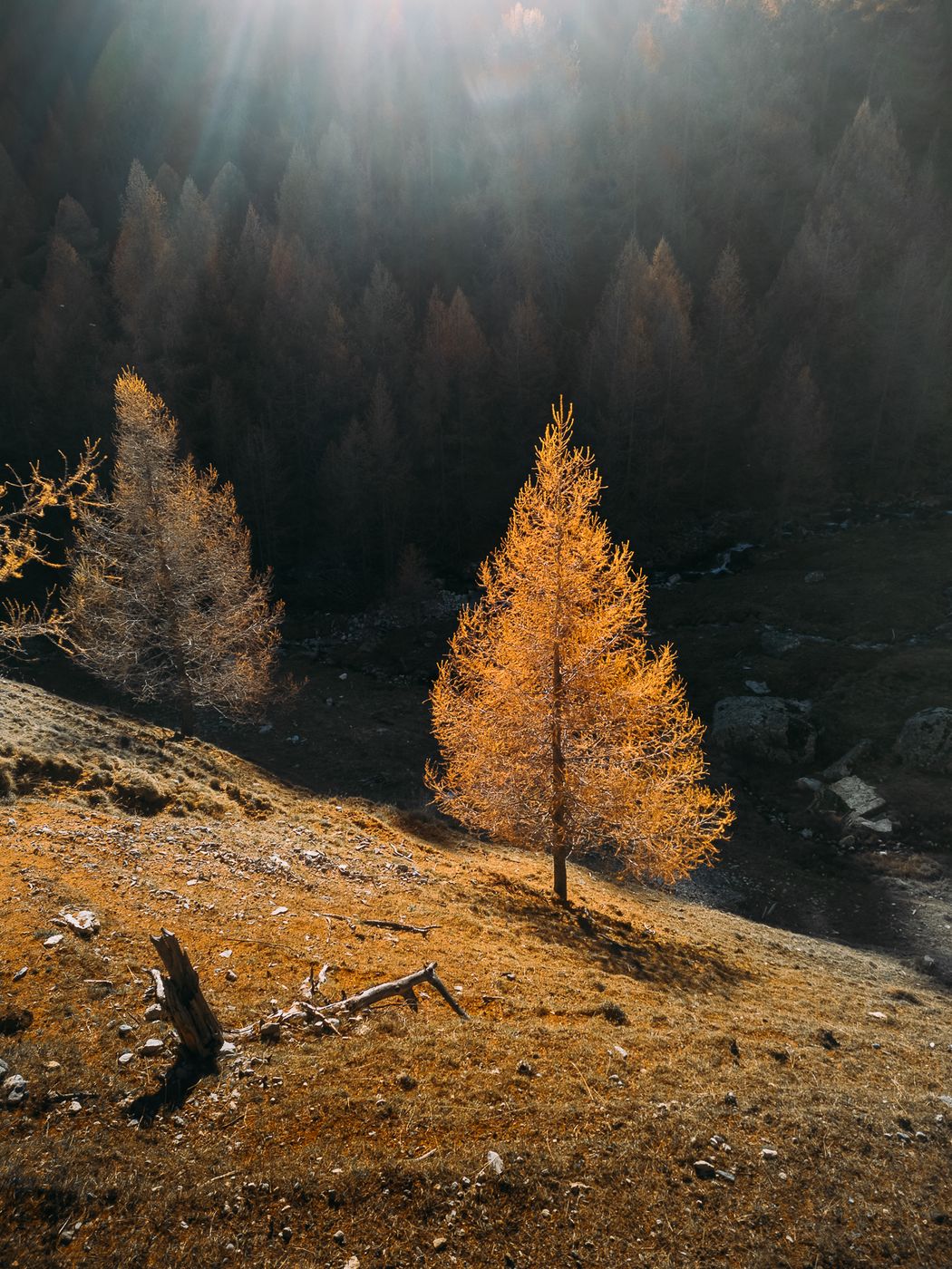 Ova d'Avra (Drone), Switzerland