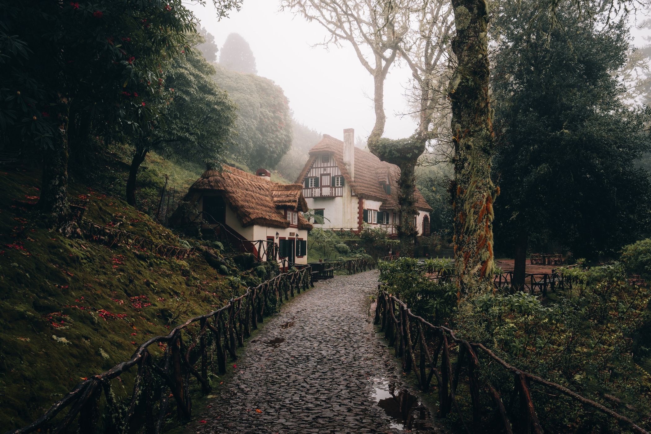 Parque Florestal das Queimadas, Madeira, Portugal