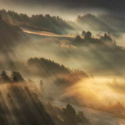 Pieniny NP, Slovakia (Slovak Republic)