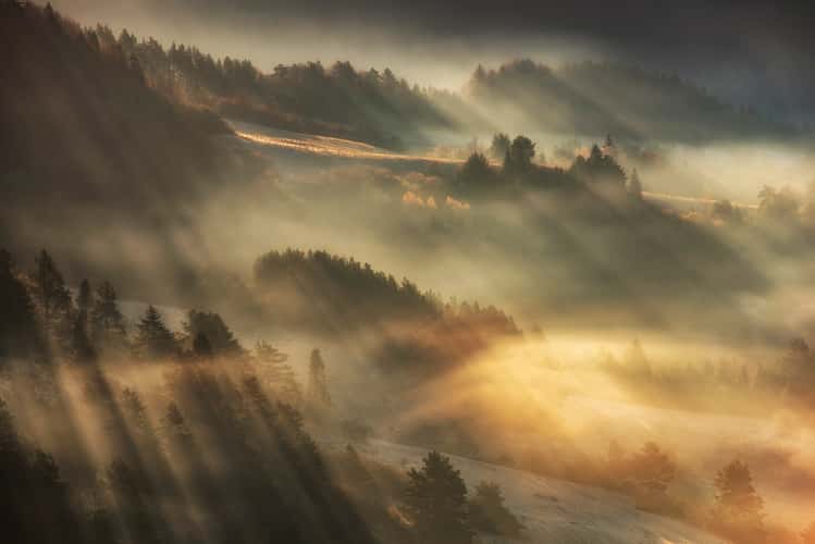 Pieniny NP