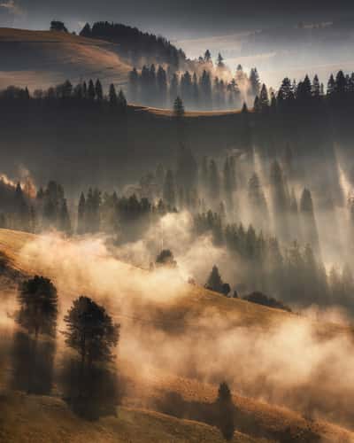 Pieniny NP