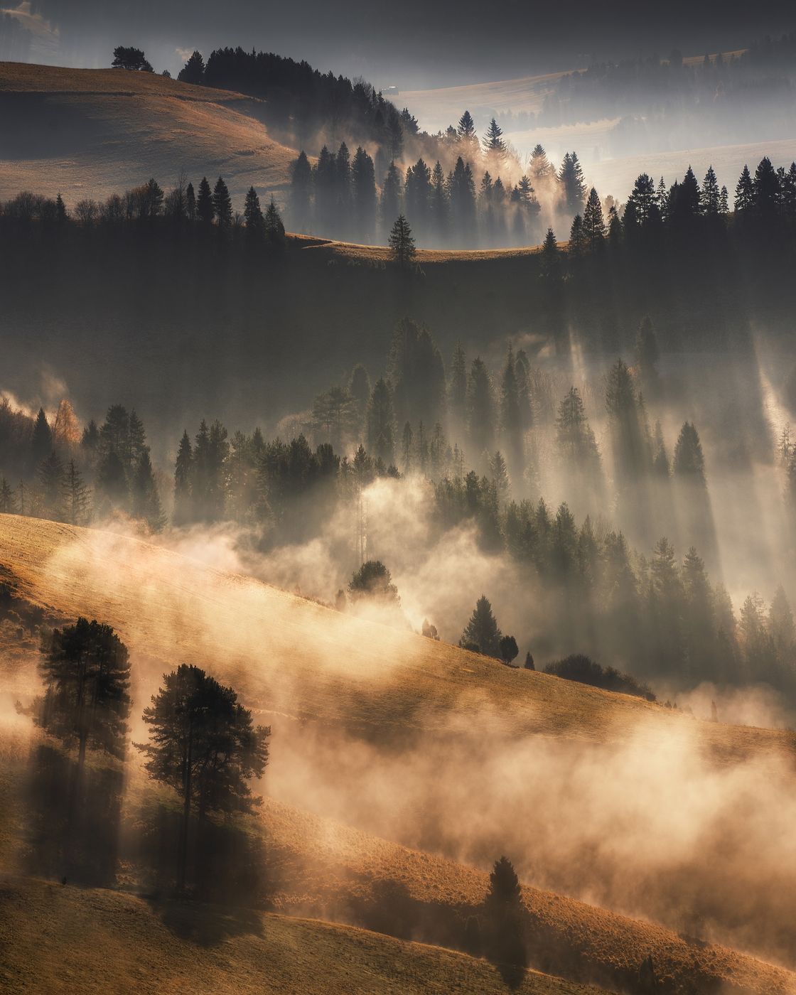 Pieniny NP, Slovakia (Slovak Republic)