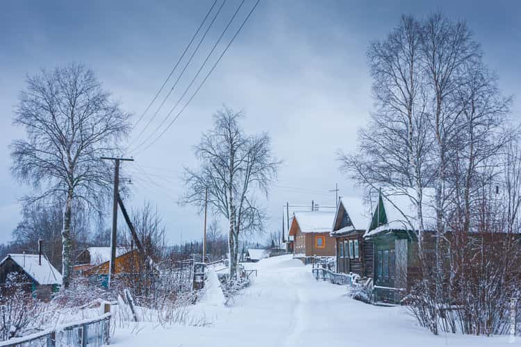 Revselga