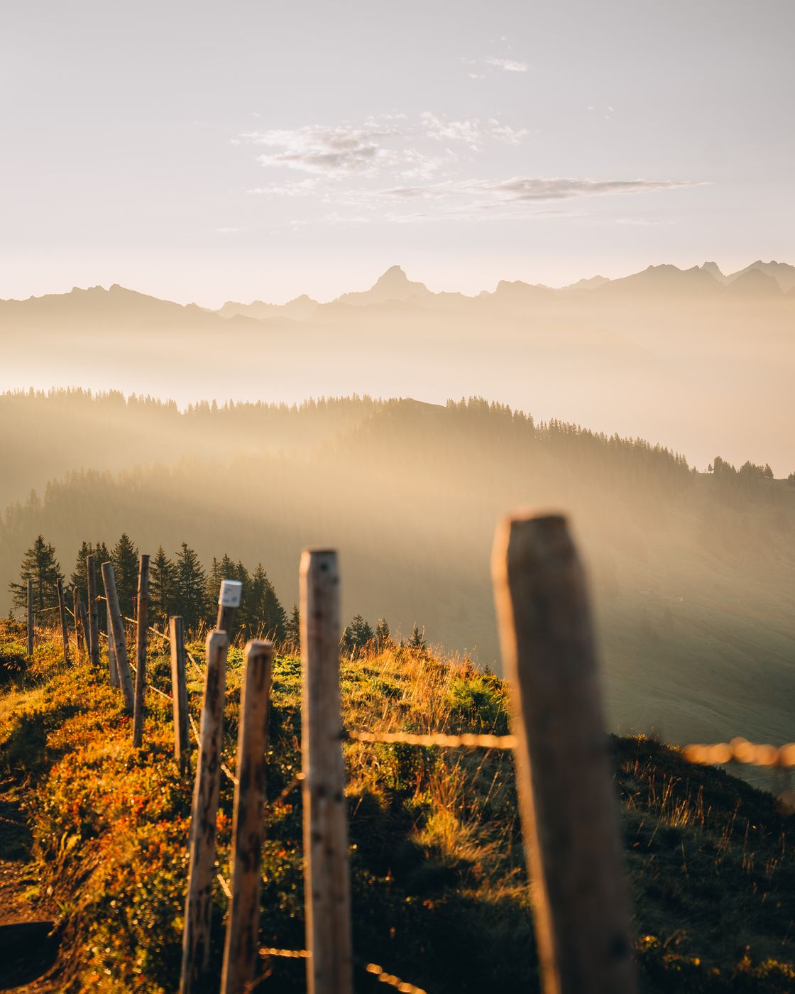 Riedberger Horn, Germany