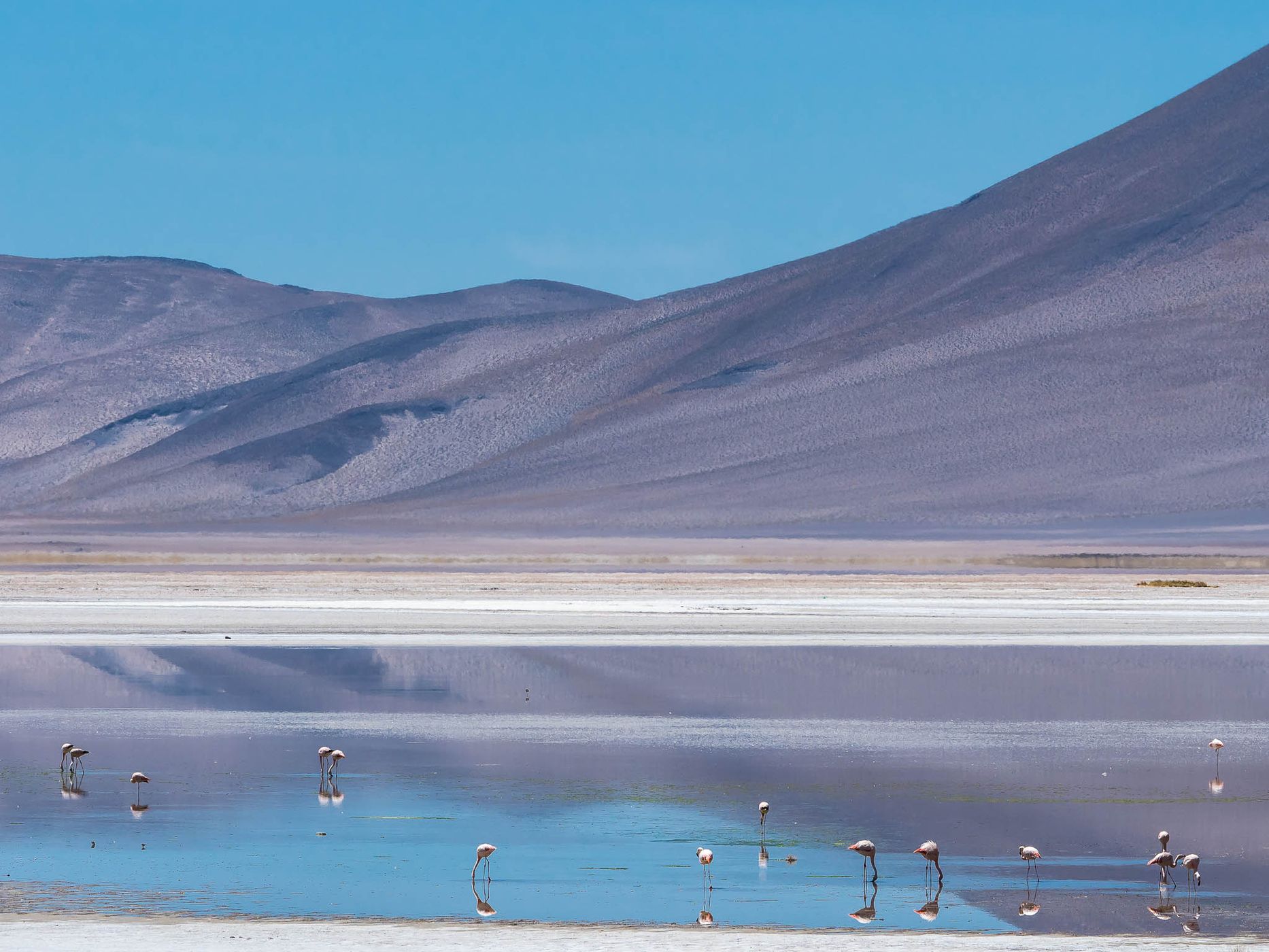 Salar del Huasco, Chile