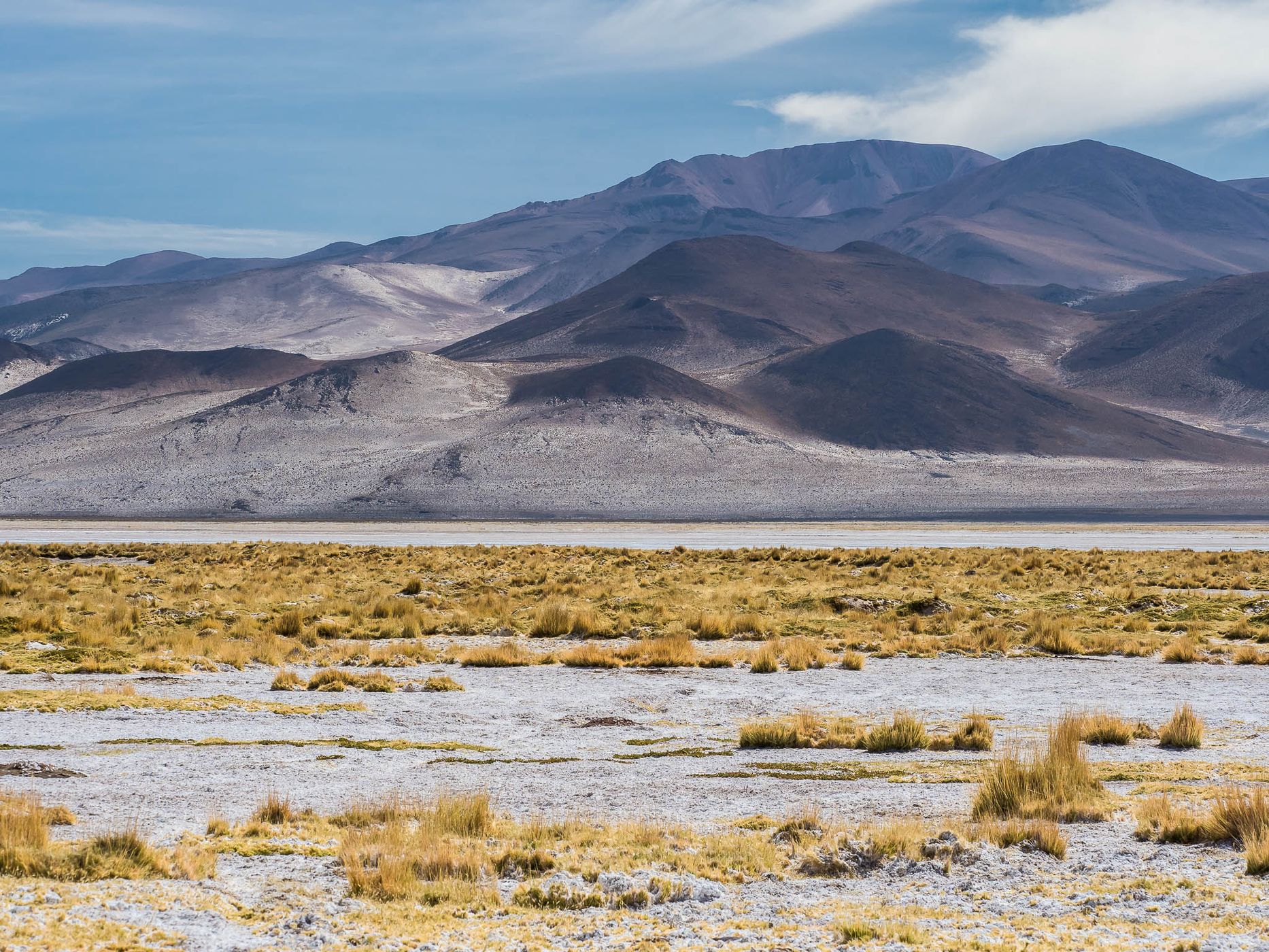 Salar del Huasco, Chile