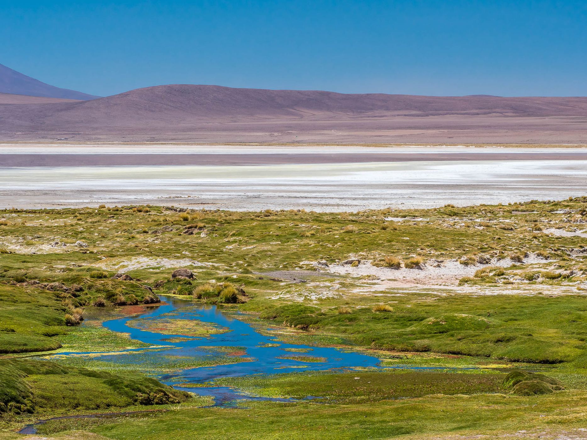 Salar del Huasco, Chile