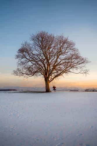 Swing tree