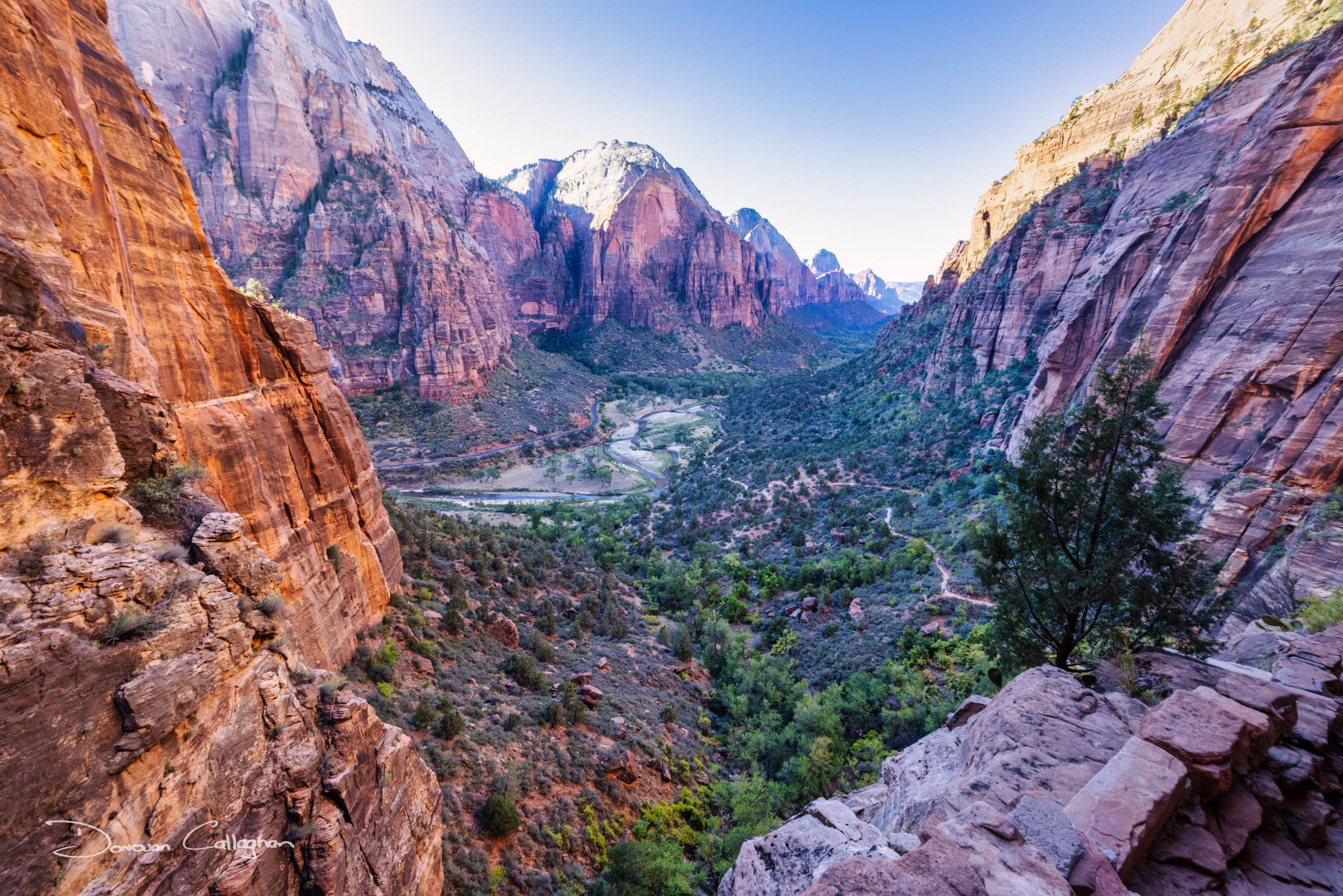Scout Lookout, Zion National Park, Utah, USA