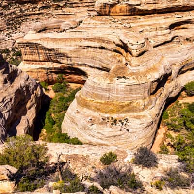 Sipapu Bridge View, Natural Bridge National Monument, Utah, USA