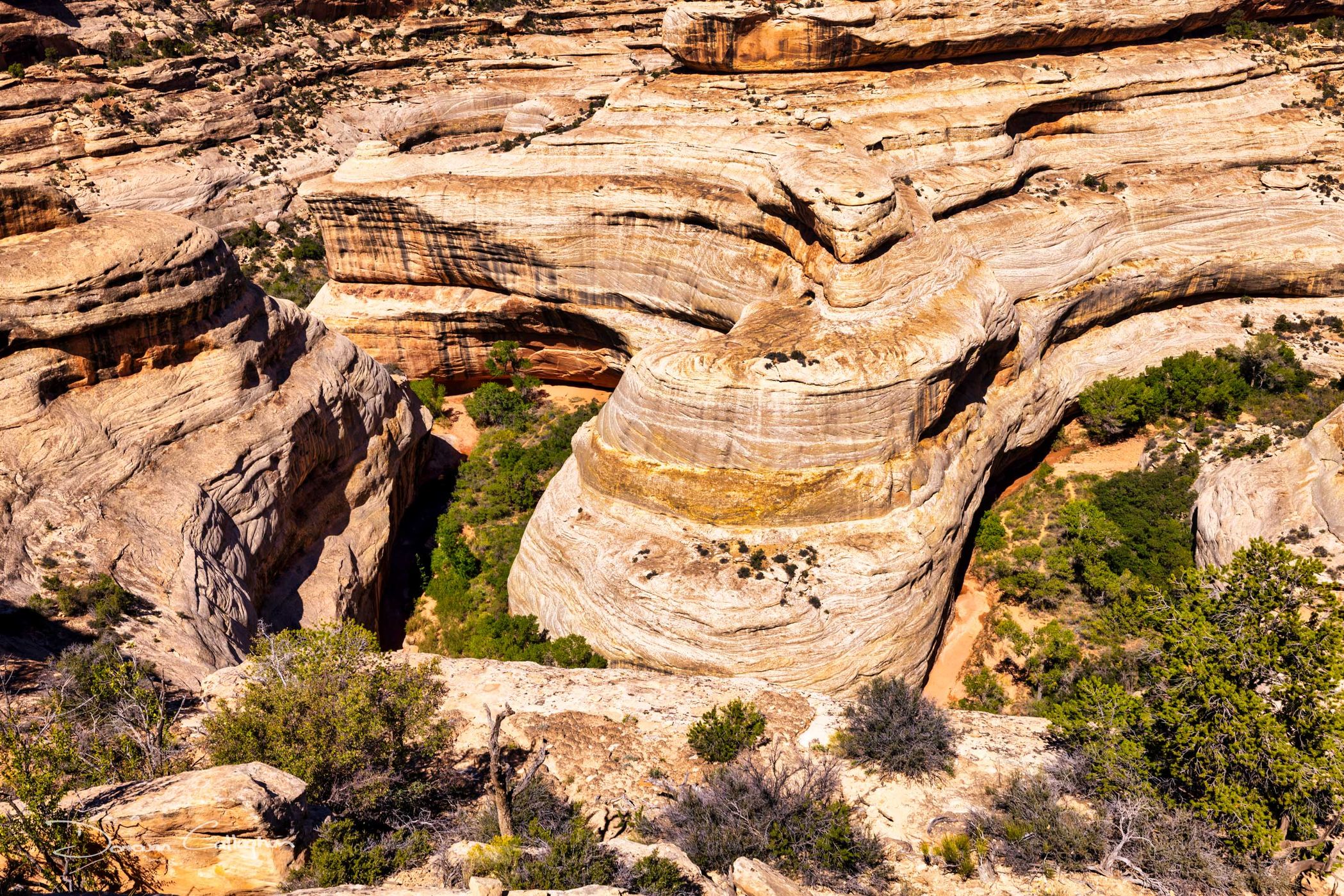 Sipapu Bridge View, Natural Bridge National Monument, Utah, USA