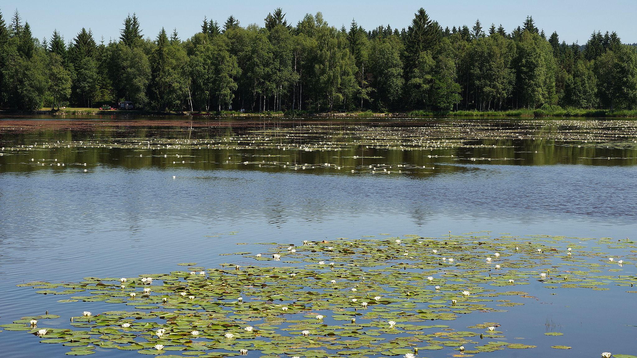 Soiersee, Bad Bayersoien, Germany