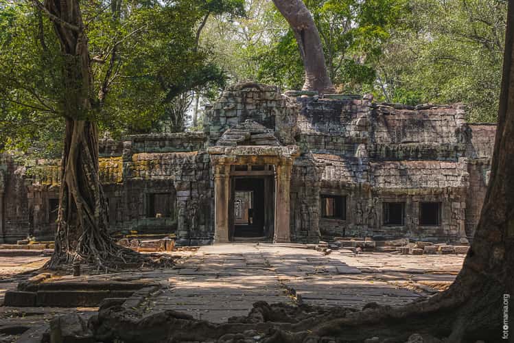 Ta Prohm