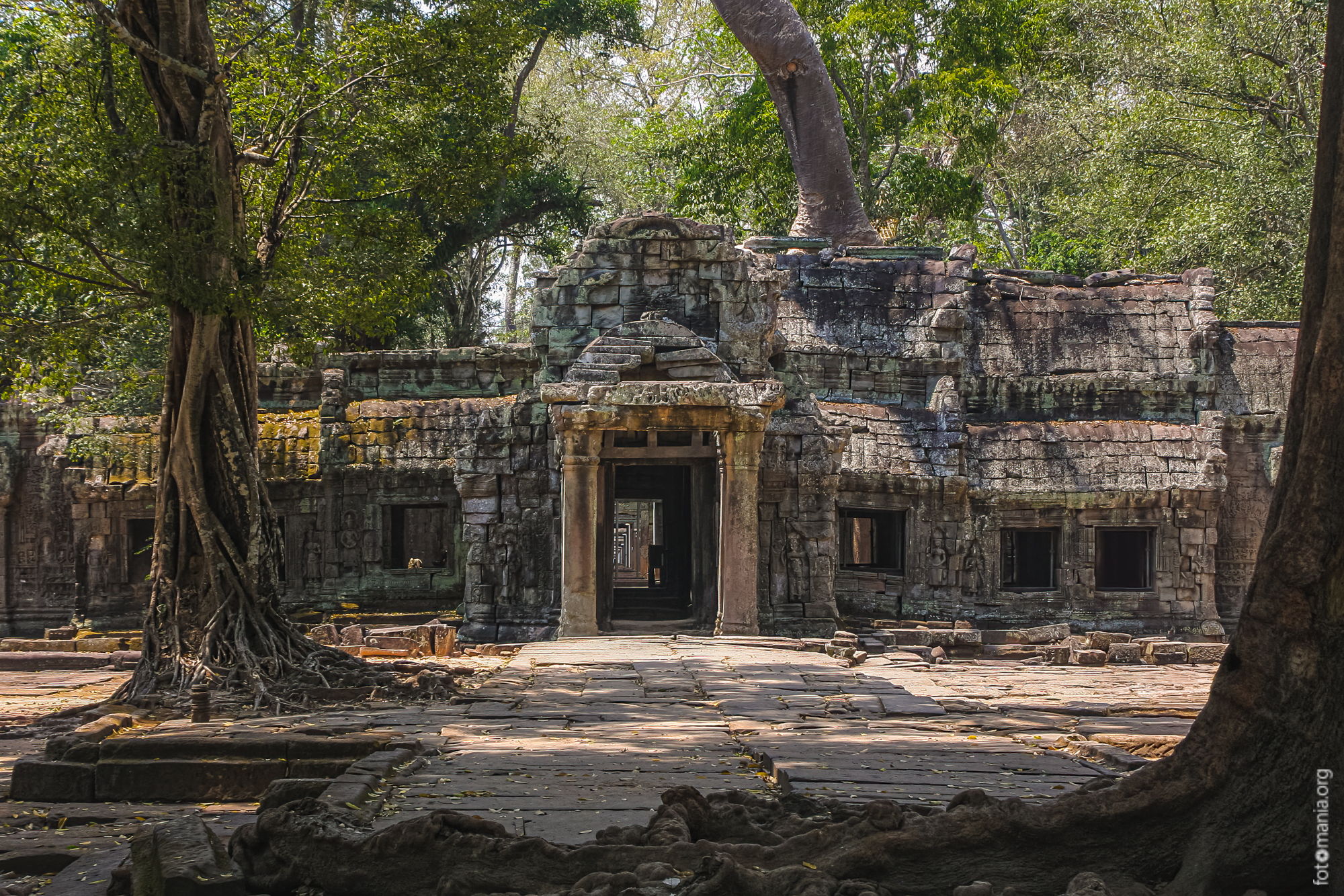 Ta Prohm, Cambodia