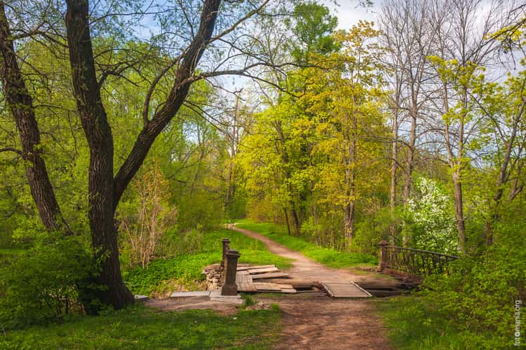 The Alexander Park in Pushkin