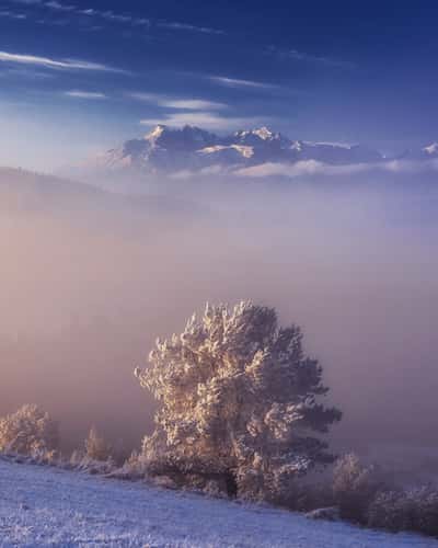 High Tatras from Pieniny NP