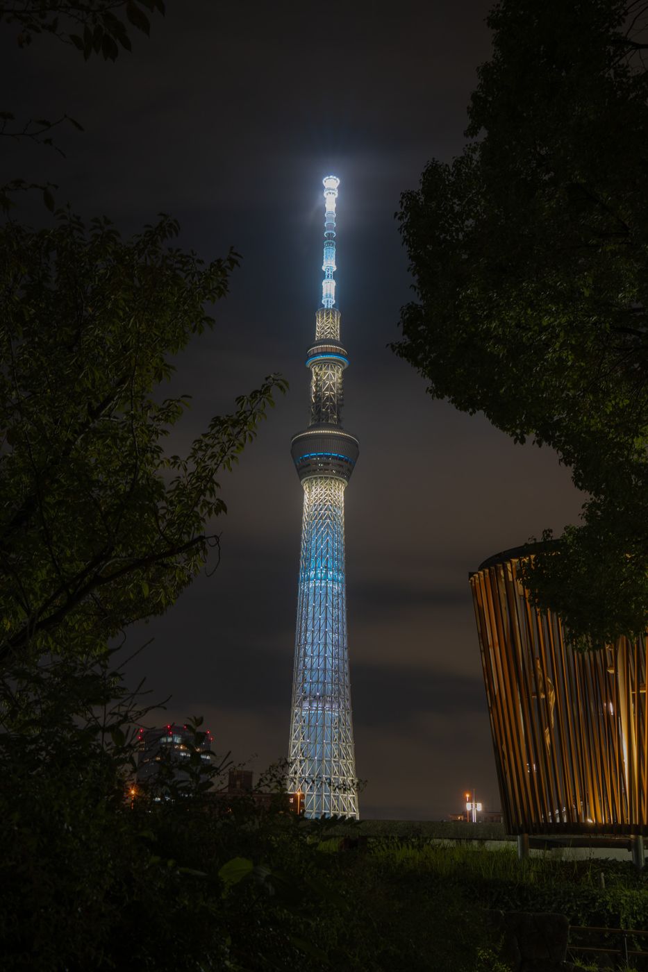 Tokyo Skytree from Kototoi Bridge, Japan