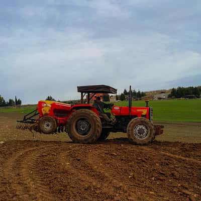 Tunisian farmers plowing the land, Tunisia