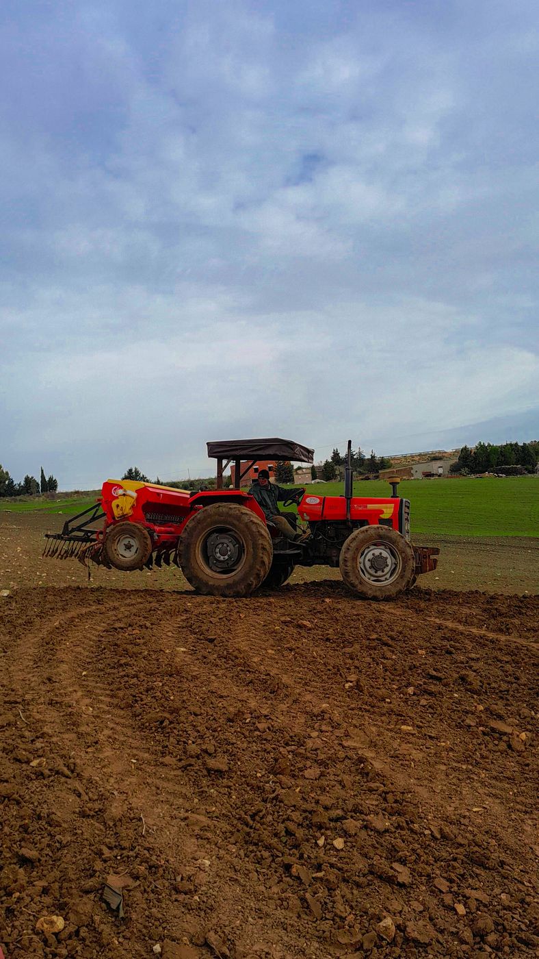 Tunisian farmers plowing the land, Tunisia