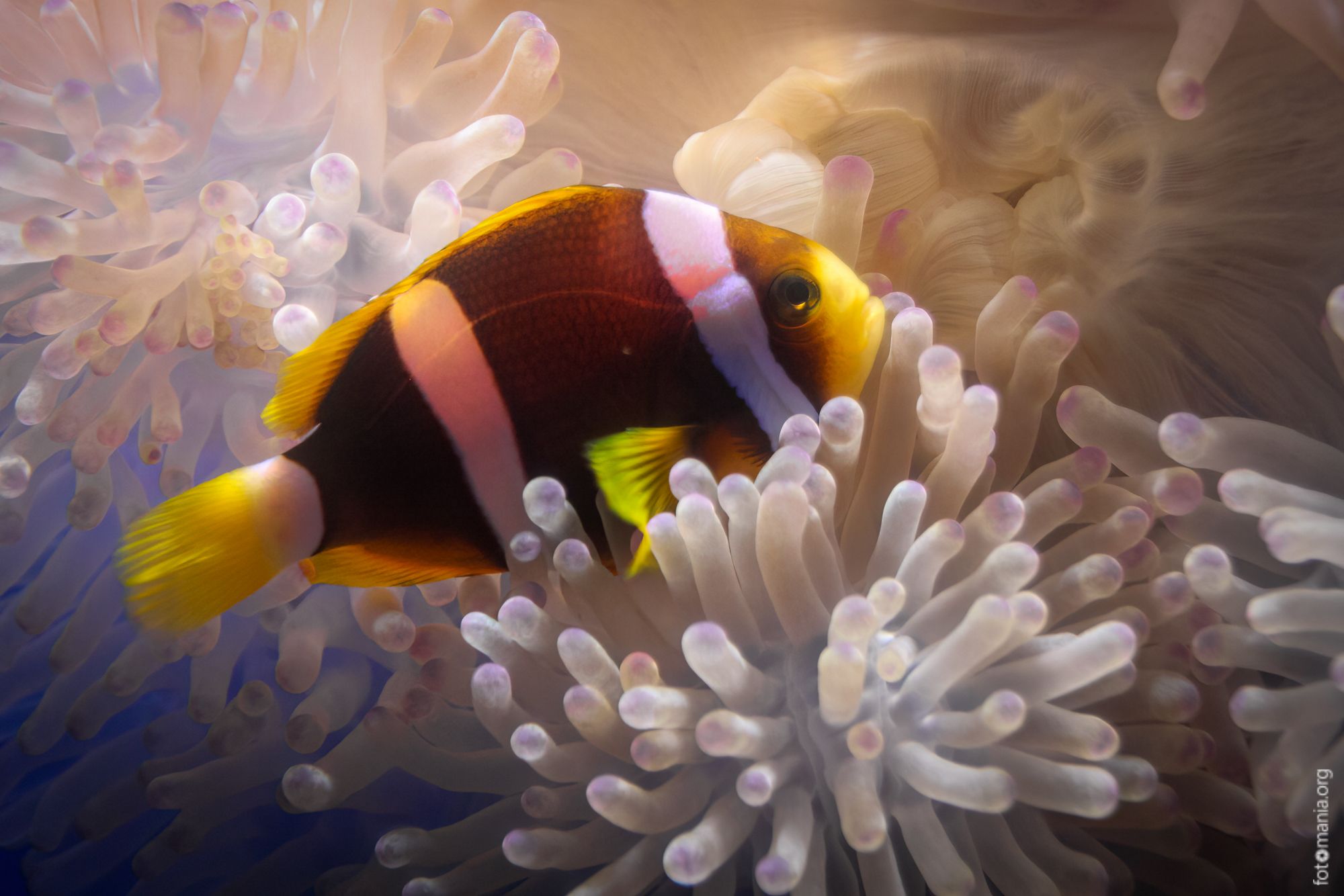 Underwater World Pattaya, Thailand