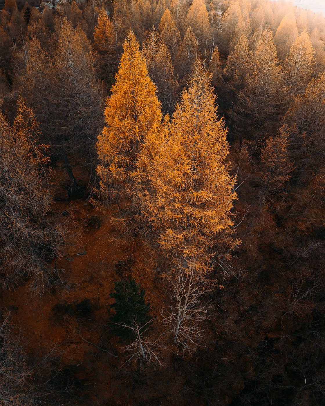Val Morteratsch (Drone), Switzerland