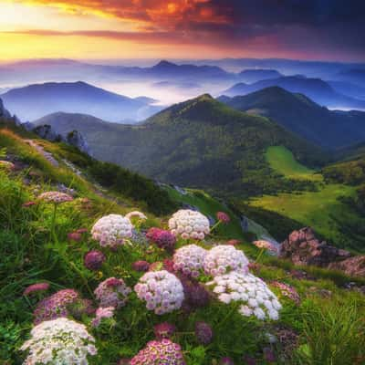 Veľký Rozsutec - top, Slovakia (Slovak Republic)