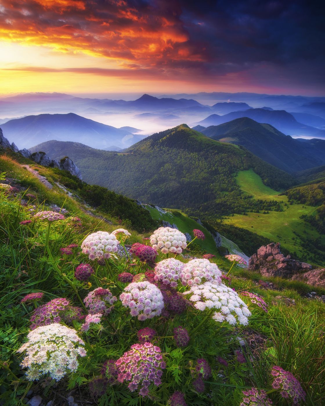 Veľký Rozsutec - top, Slovakia (Slovak Republic)