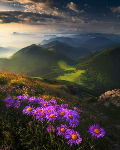 Veľký Rozsutec - top