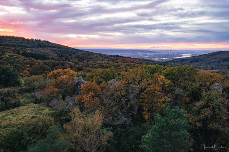 View from the Stenzelberg towards Bonn