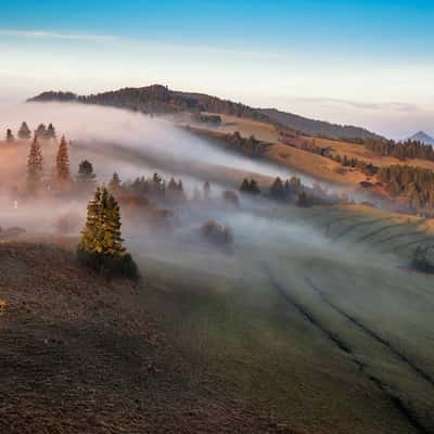 View of Pieniny NP, Slovakia (Slovak Republic)