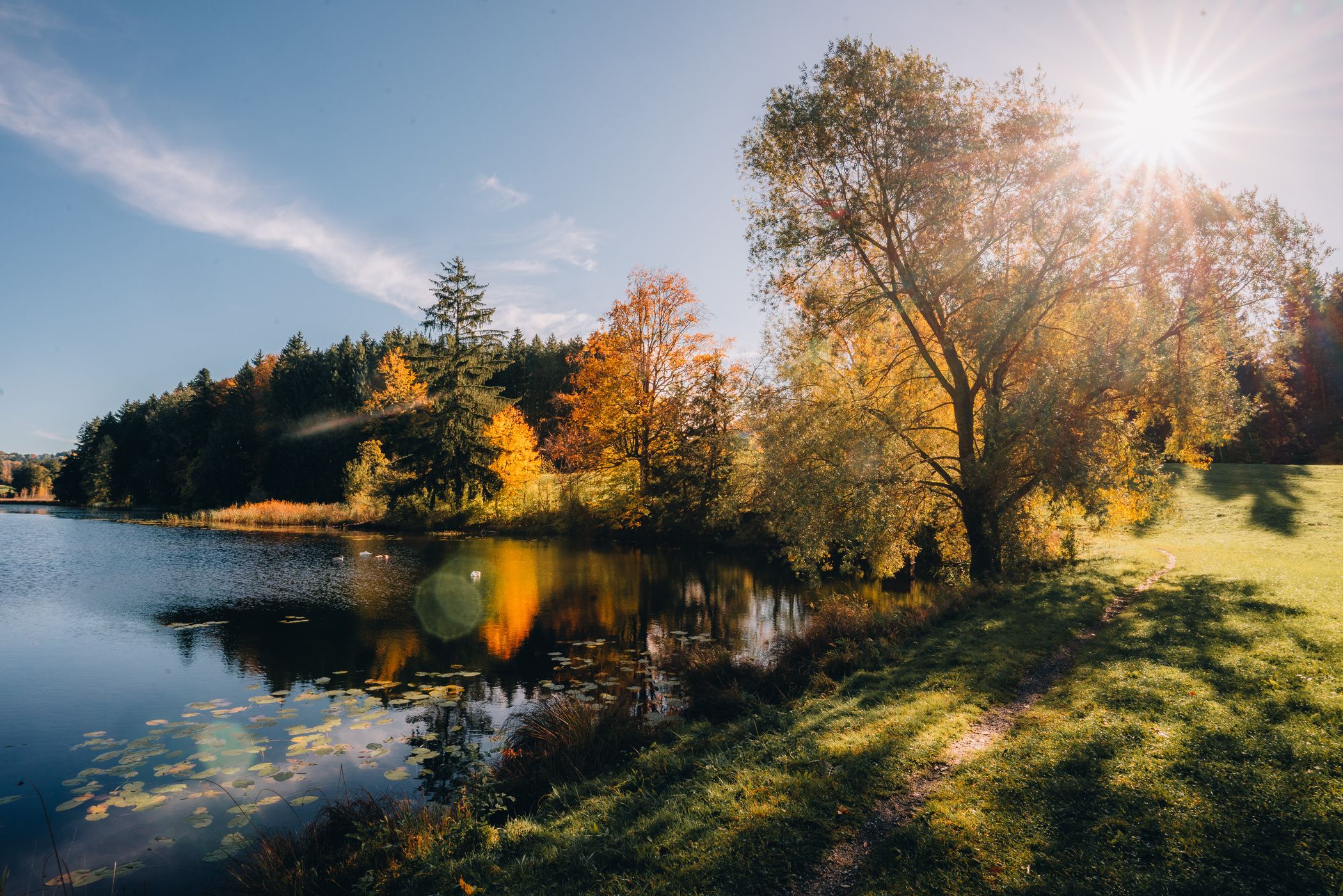 Widdumer Weiher, Germany