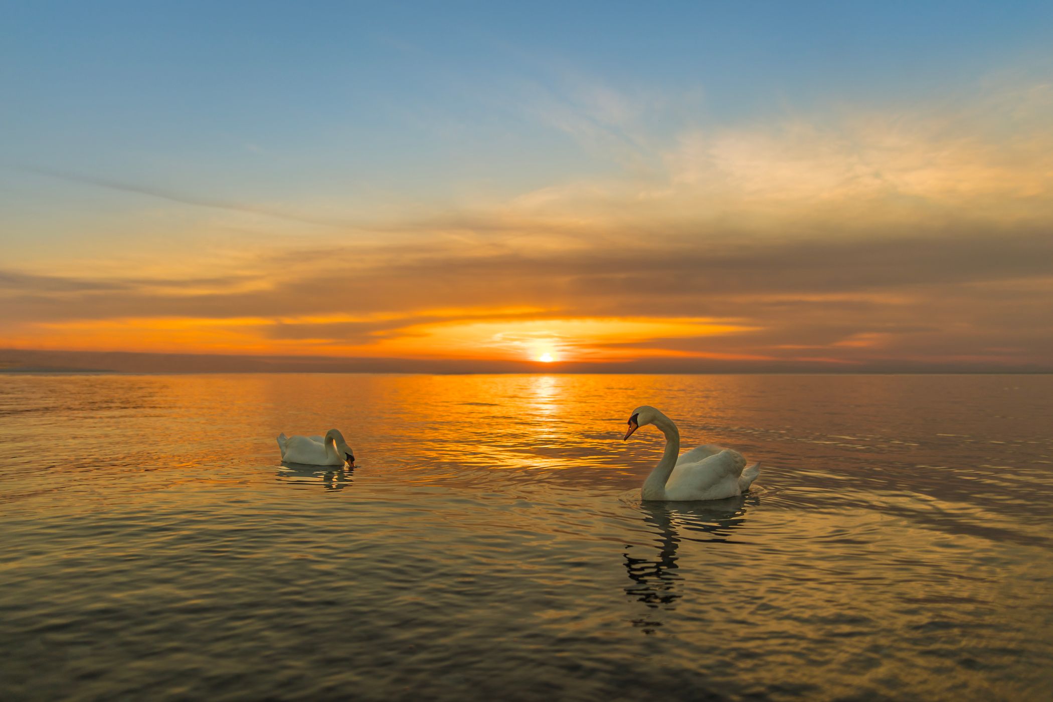 Adriatic Coast, Slovenia