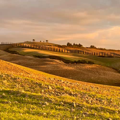 Agriturismo Baccoleno, Asciano