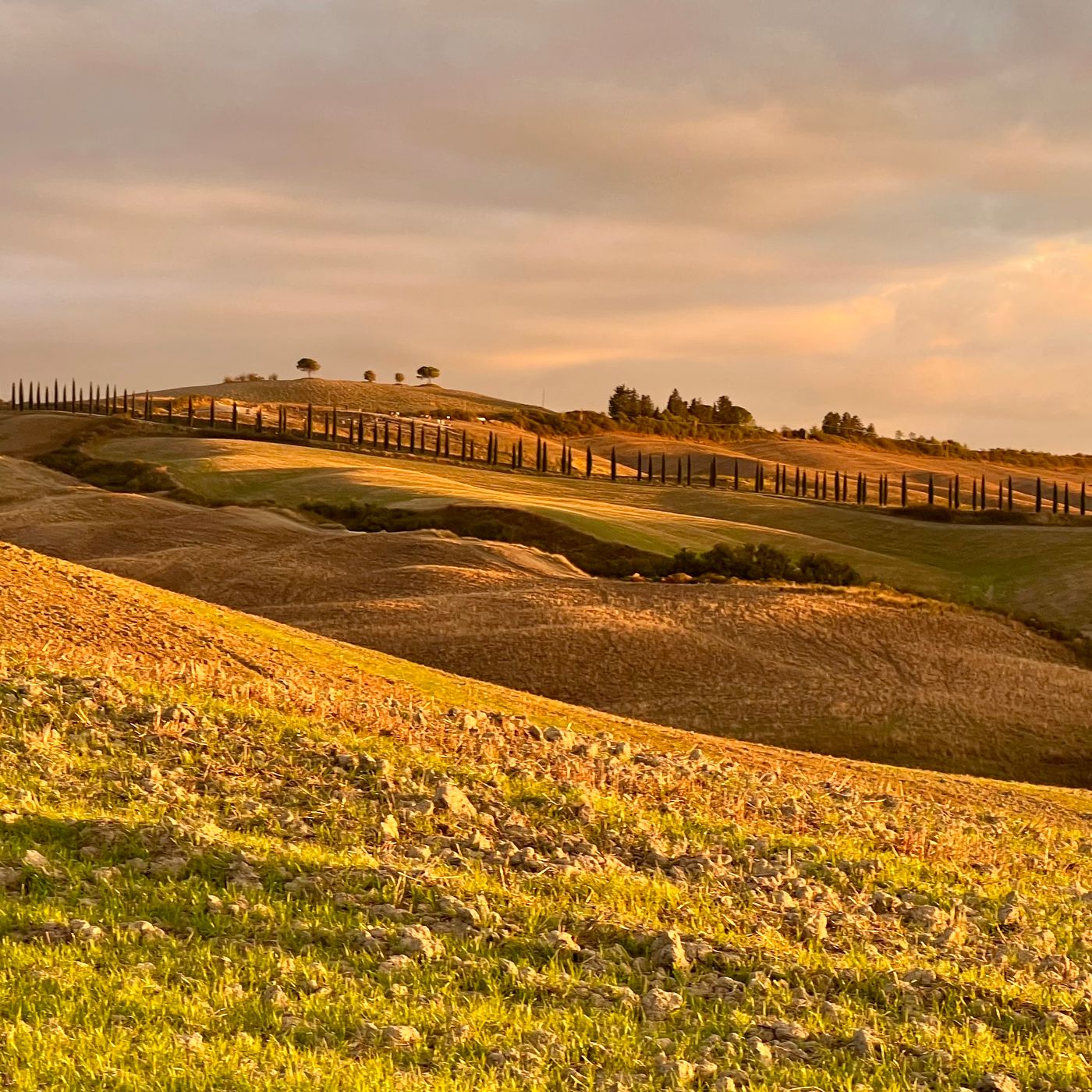 Agriturismo Baccoleno, Asciano, Italy