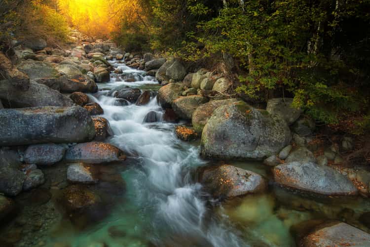 Autumn by the Studený potok  in High Tatras