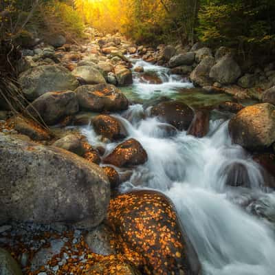 Autumn by the Studený potok  in High Tatras, Slovakia (Slovak Republic)