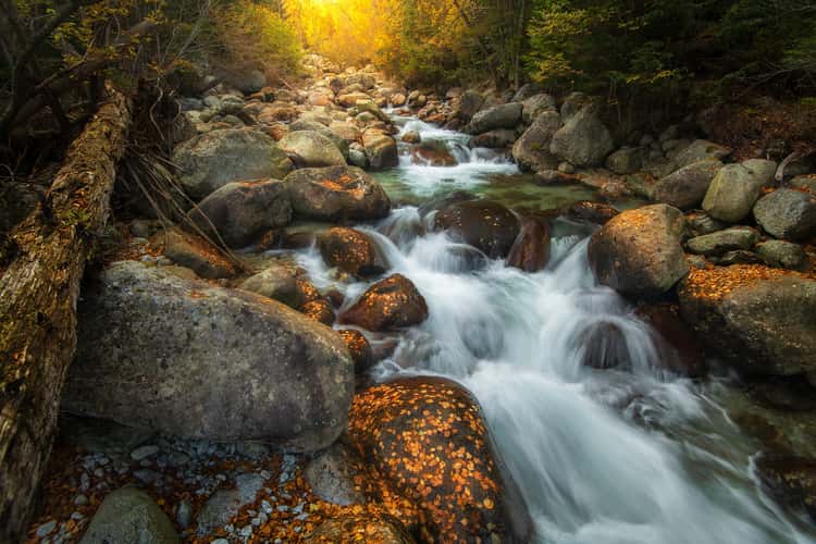 Autumn by the Studený potok  in High Tatras