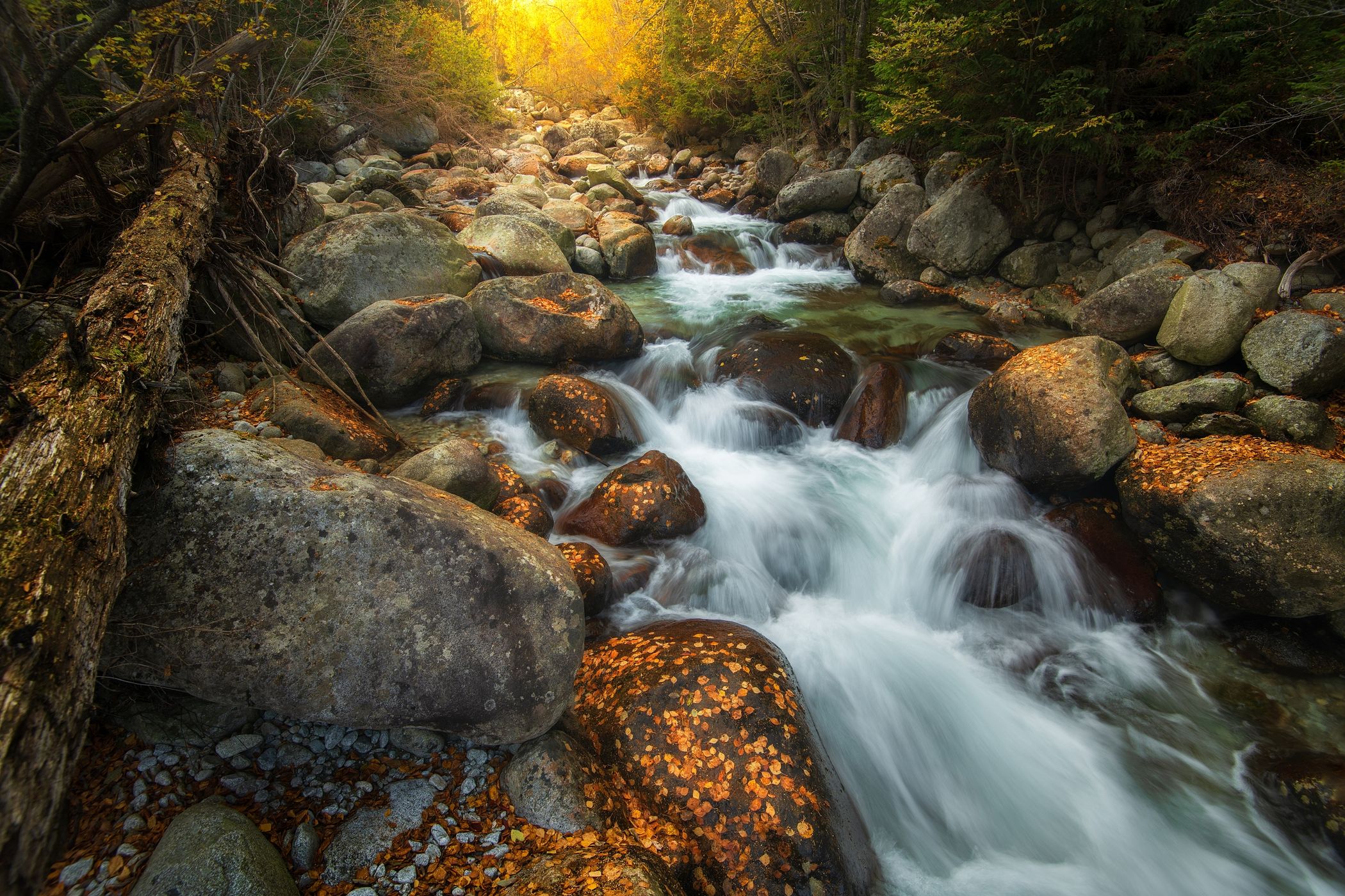 Autumn by the Studený potok  in High Tatras, Slovakia (Slovak Republic)