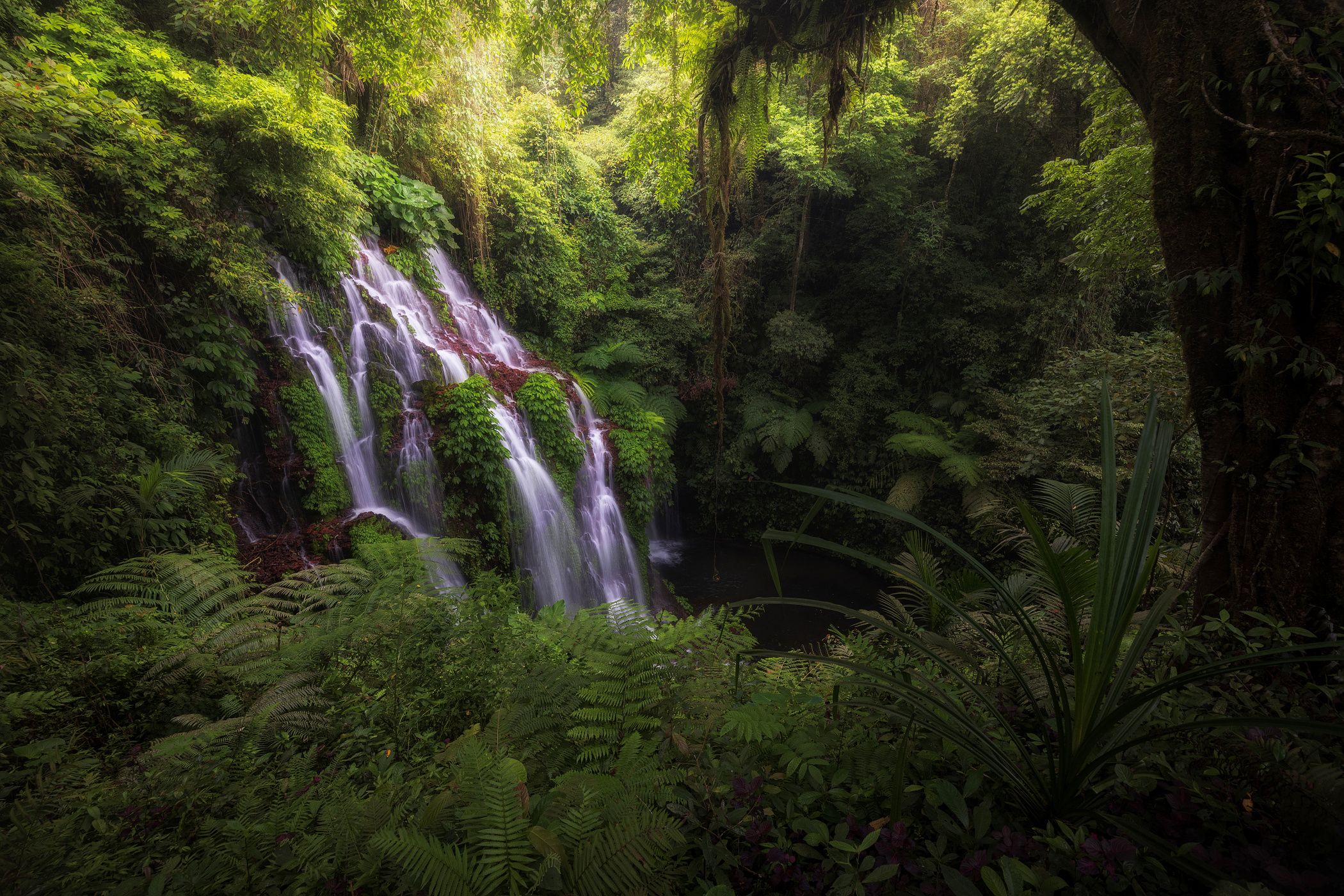 Banyu Wana Amertha waterfall, Bali, Indonesia